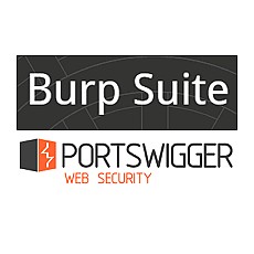 BurpSuite