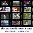 Elecard Multistream Player